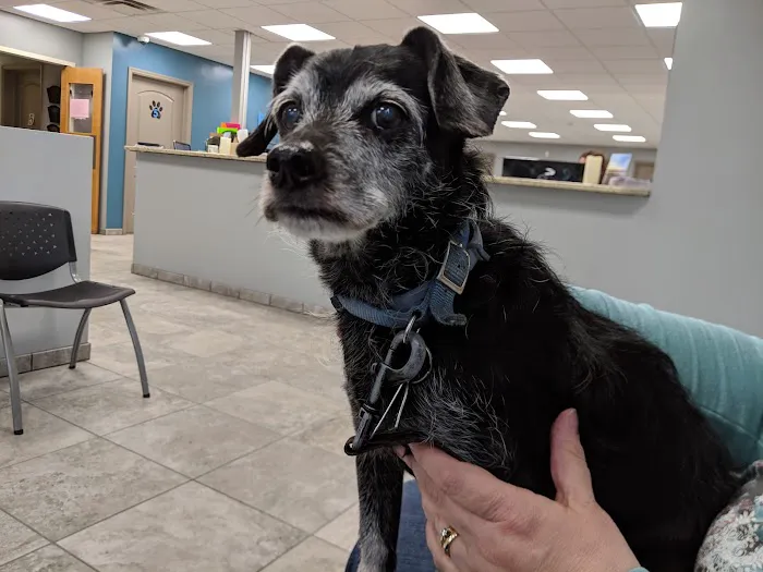 Endless Mountains Veterinary Center, PC - Owego Veterinary Hospital Picture 6