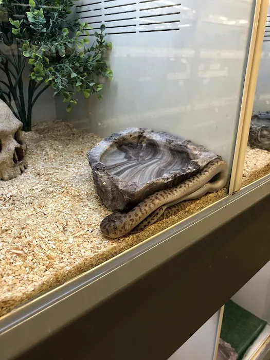 Pet Supplies Plus Valrico Picture 2