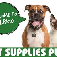 Pet Supplies Plus Valrico ico