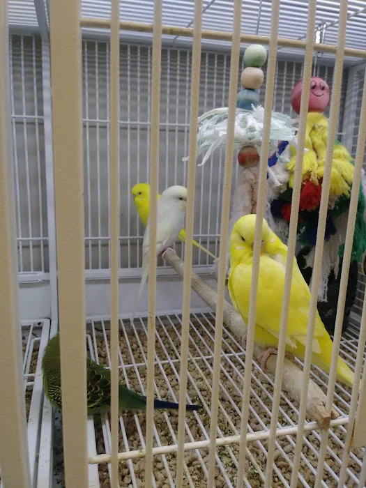 Pet Supplies Plus Valrico Picture 7