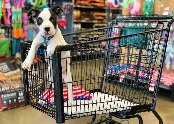 Pet Supplies Plus Valrico Picture 9