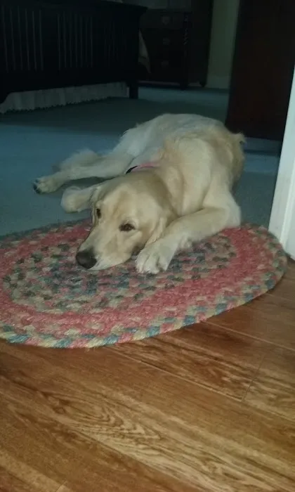 Pet Supplies Plus Valrico Picture 3