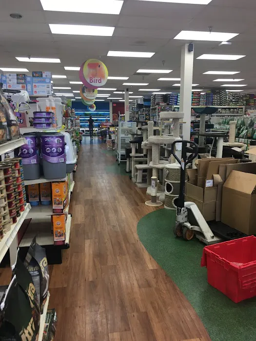 Pet Supermarket Picture 8