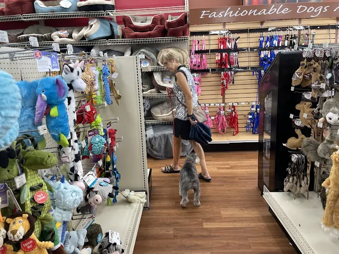 Pet Supermarket Picture 2