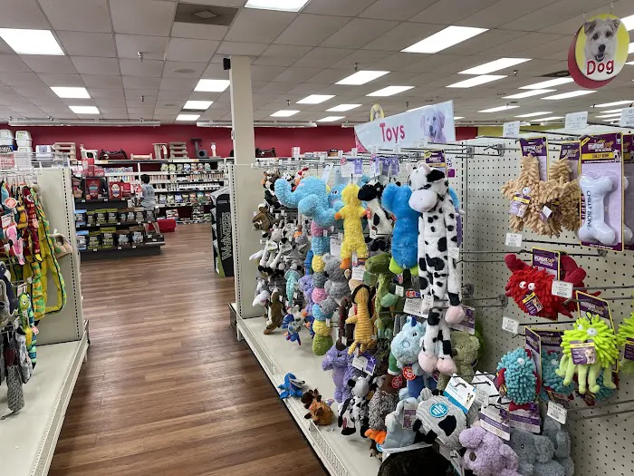 Pet Supermarket Picture 3
