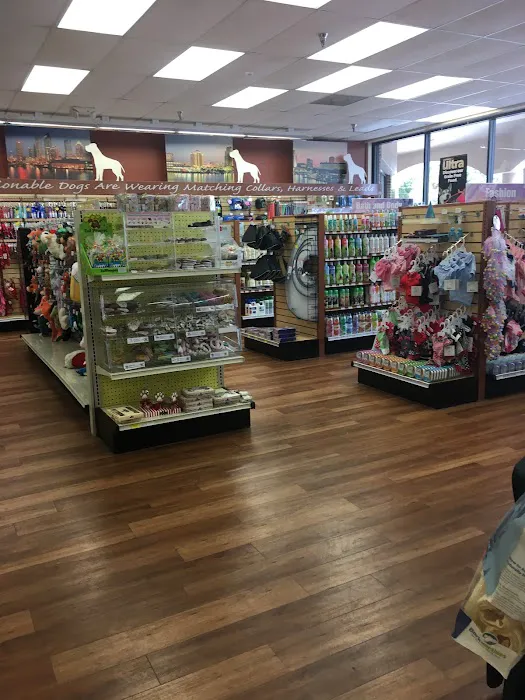 Pet Supermarket Picture 9