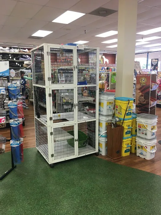 Pet Supermarket Picture 6