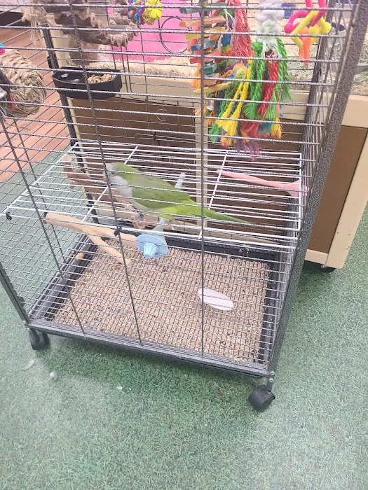 Pet Supermarket Picture 10
