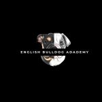 English Bulldog Academy