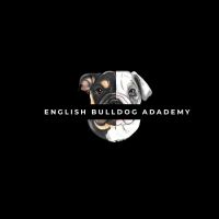 English Bulldog Academy ico