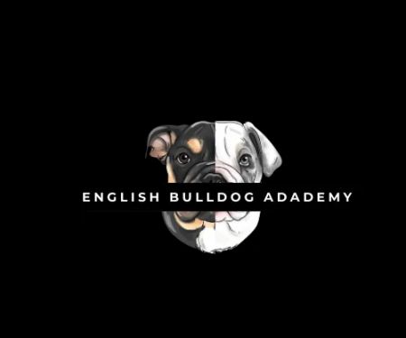 English Bulldog Academy