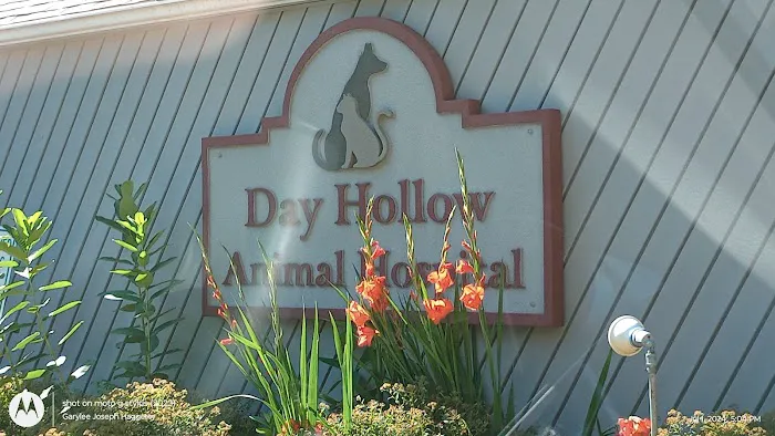 Day Hollow Animal Hospital PC Picture 9