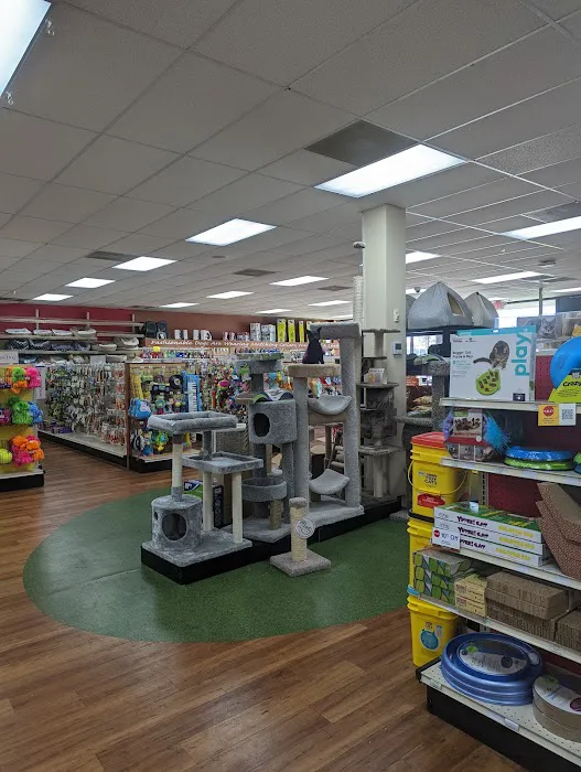 Pet Supermarket Picture 3