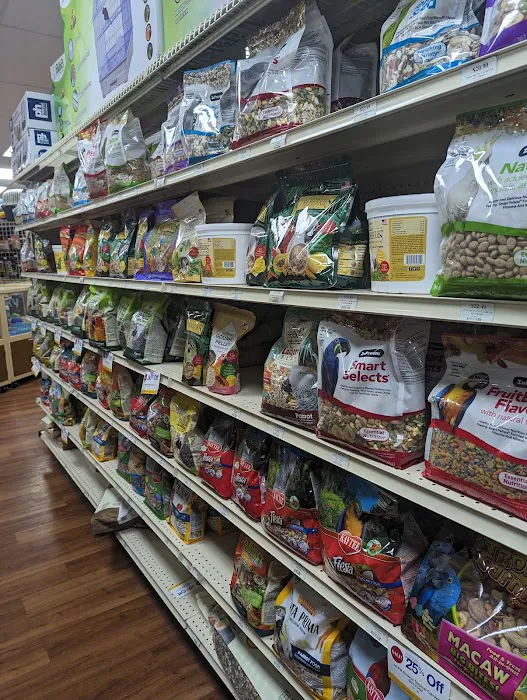 Pet Supermarket Picture 5