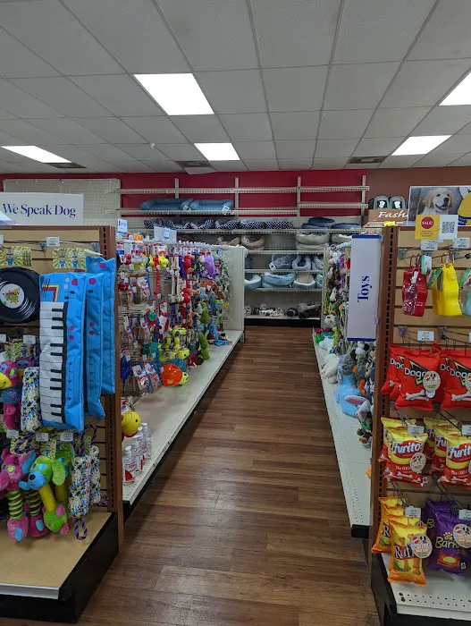 Pet Supermarket Picture 8