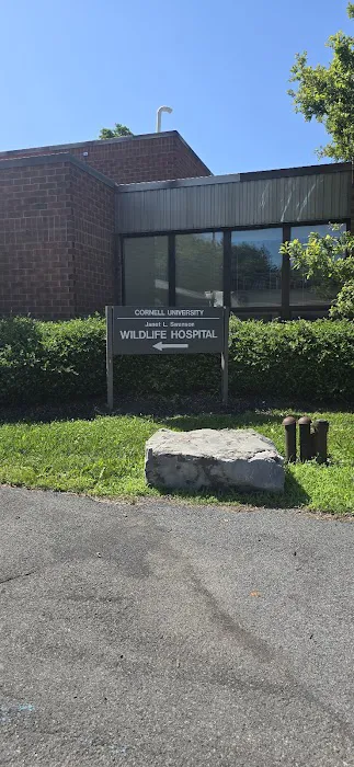 Janet L. Swanson Wildlife Hospital Picture 8