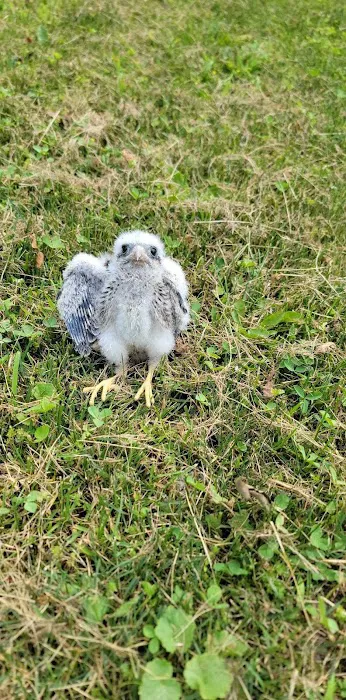 Janet L. Swanson Wildlife Hospital Picture 6