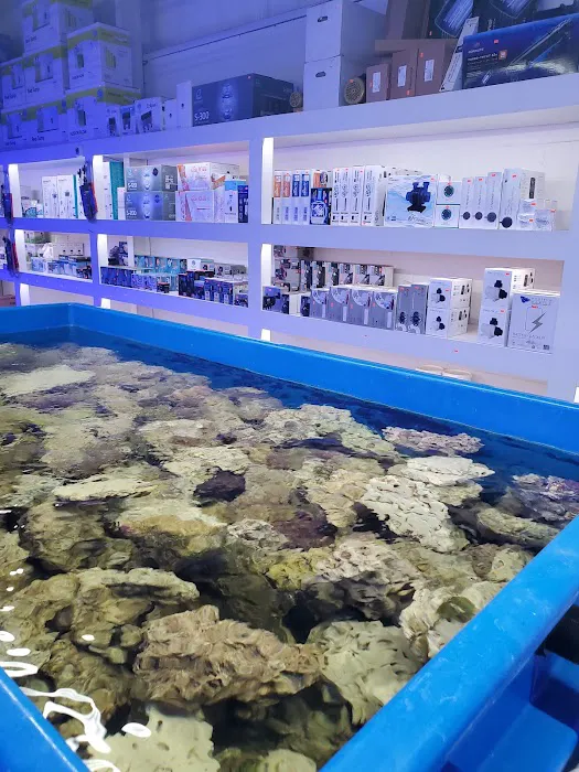 The Coral Corral Picture 5