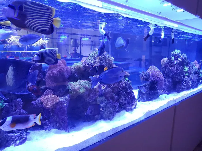 The Coral Corral Picture 7