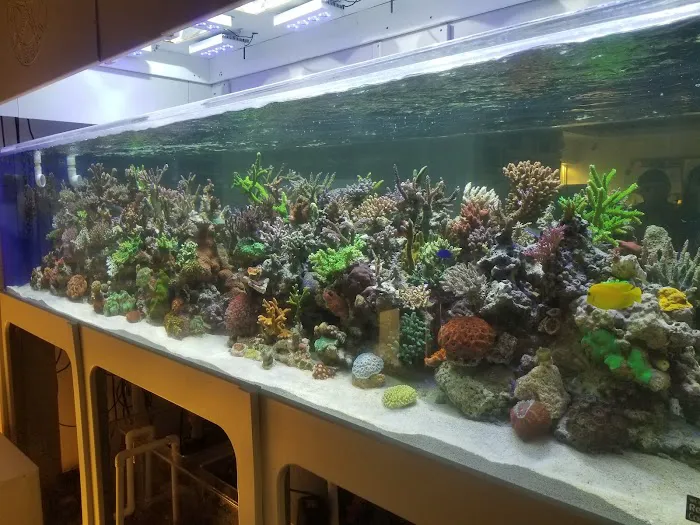 The Coral Corral Picture 2