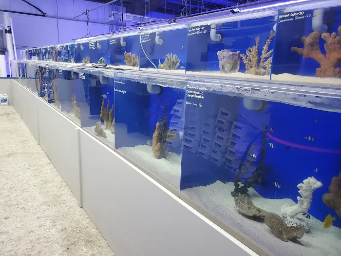 The Coral Corral Picture 8
