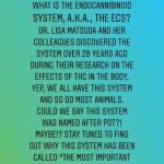 Natural Origins