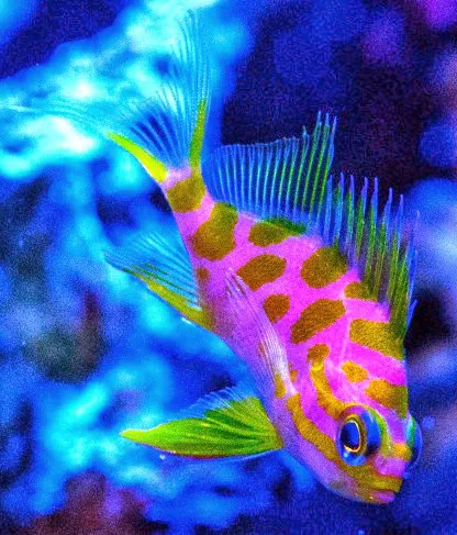 FISH and other ICHTHY stuff Picture 5