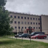 Cornell University Hospital for Animals ico