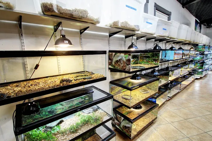 Herp Hobby Shop Reptile Breeding Center Picture 3