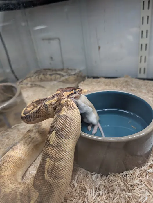Herp Hobby Shop Reptile Breeding Center Picture 6