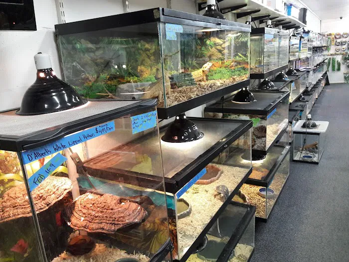 Herp Hobby Shop Reptile Breeding Center Picture 8