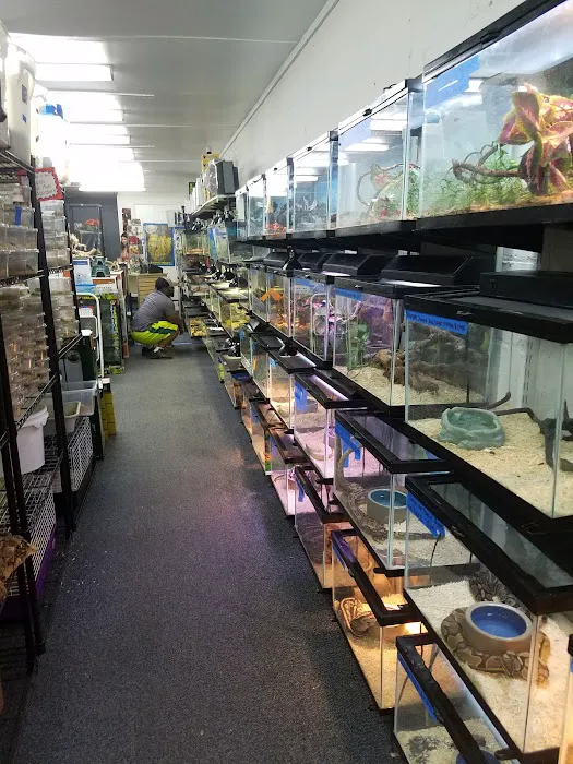 Herp Hobby Shop Reptile Breeding Center Picture 9