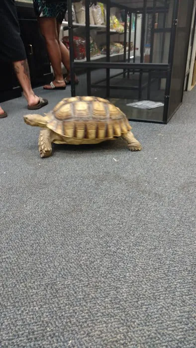 Herp Hobby Shop Reptile Breeding Center Picture 4