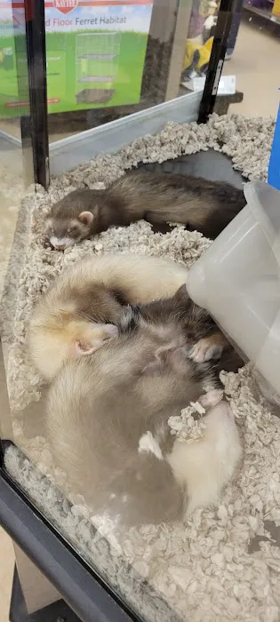 Petco Picture 1