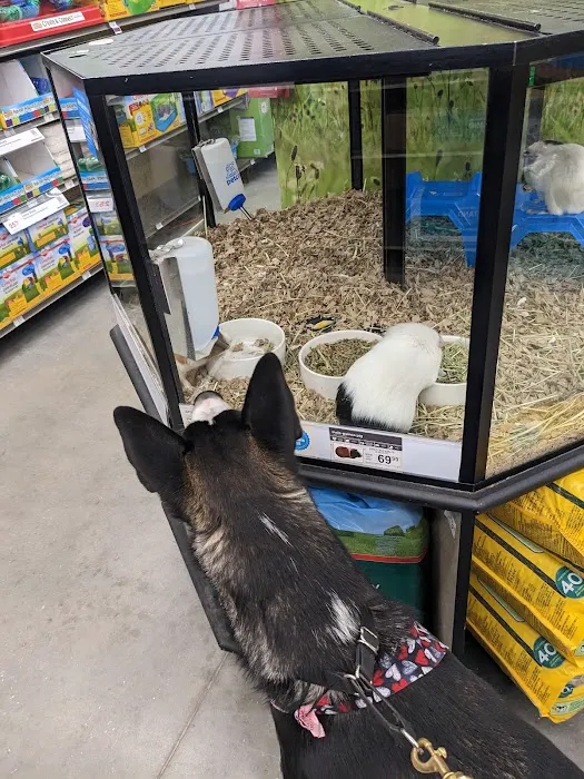 Petco Picture 5