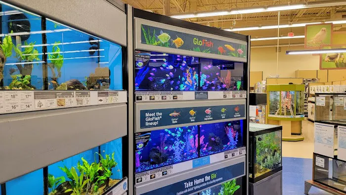 Petco Picture 9