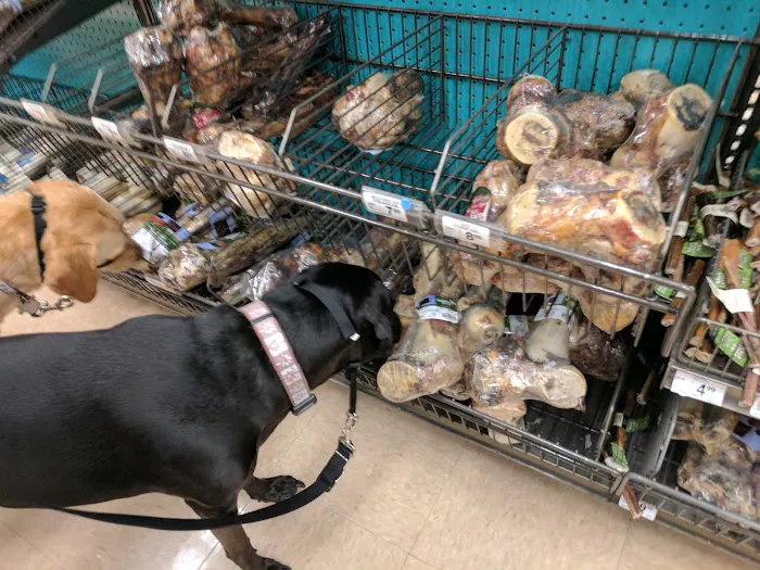 Petco Picture 2