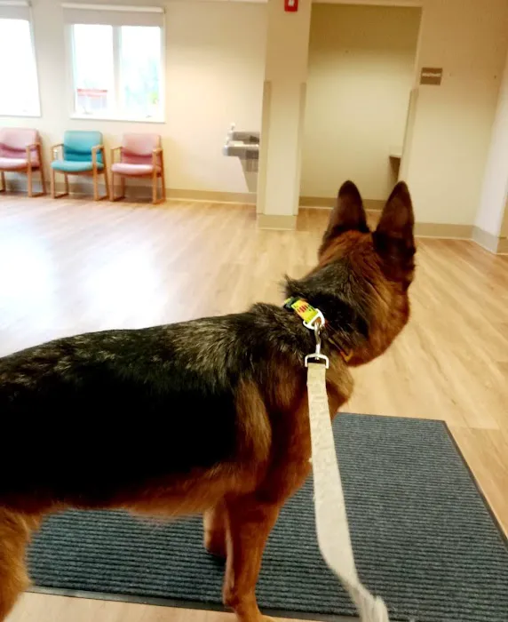 Tompkins Veterinary Services Picture 4