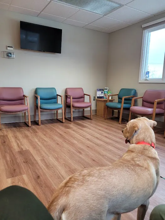 Tompkins Veterinary Services Picture 3