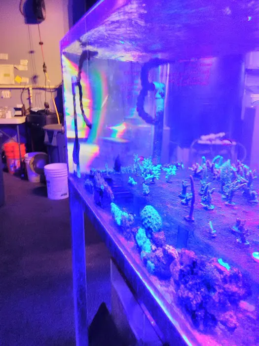 Sea Life Fish & Aquariums Picture 1