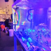 Sea Life Fish & Aquariums ico
