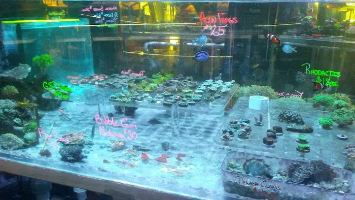 Sea Life Fish & Aquariums Picture 9