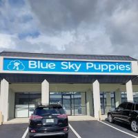 Blue Sky Puppies Tampa Bay ico