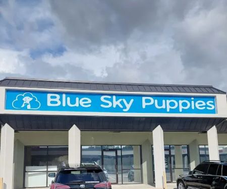 Blue Sky Puppies Tampa Bay