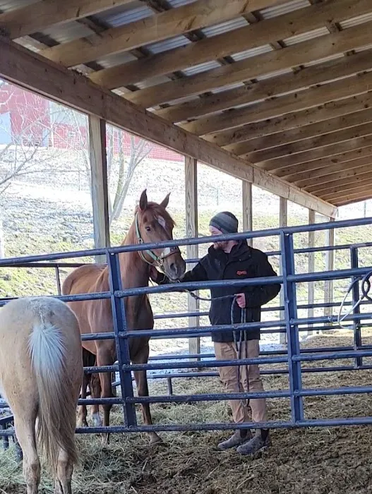 Finger Lakes Equine Practice Picture 2