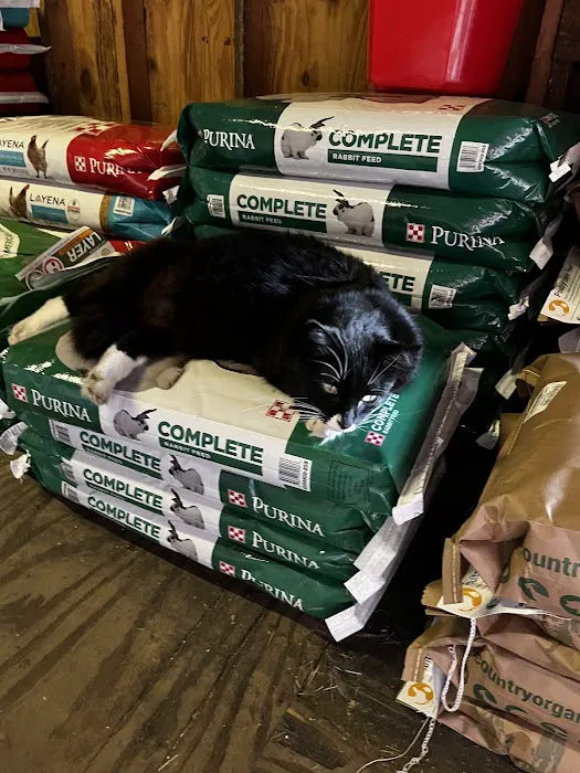 Park Feed Store & Pet Supply Picture 1