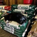 Park Feed Store & Pet Supply