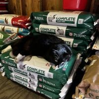 Park Feed Store & Pet Supply ico