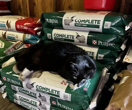 Park Feed Store & Pet Supply