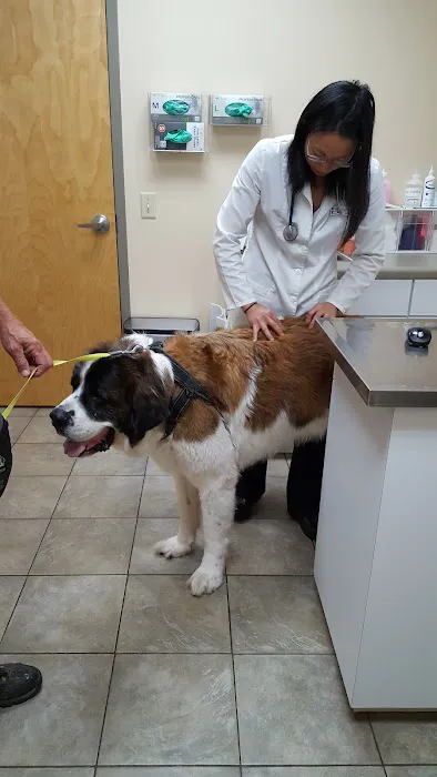 Midstate Veterinary Services Picture 10